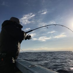 松鶴丸 釣果
