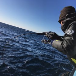 松鶴丸 釣果