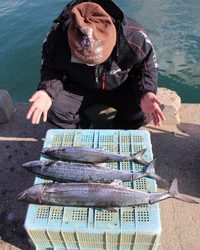 魚英 釣果