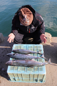 魚英 釣果