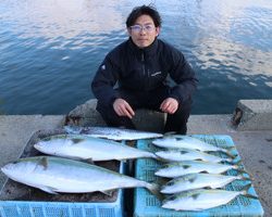 魚英 釣果