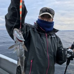 たいし丸 釣果