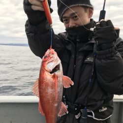 たいし丸 釣果