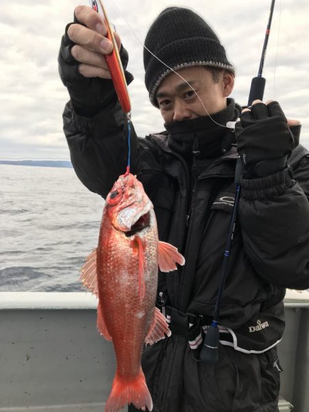 たいし丸 釣果