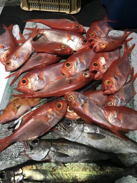 たいし丸 釣果
