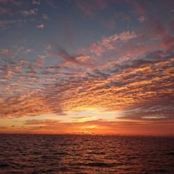 第五慶門丸 釣果