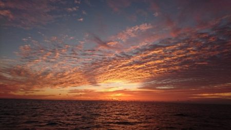 第五慶門丸 釣果