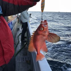 たいし丸 釣果