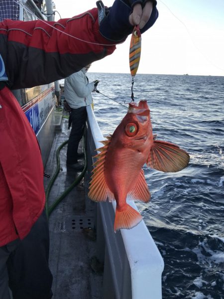 たいし丸 釣果