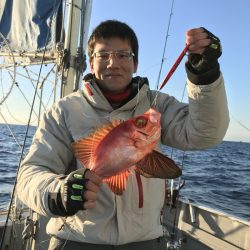 たいし丸 釣果
