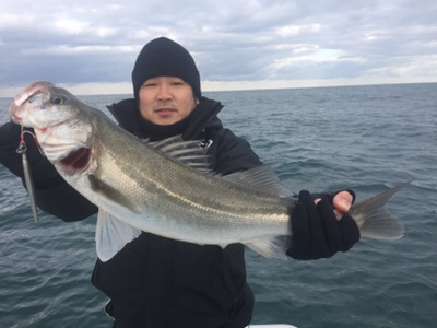 シーモンキー 釣果