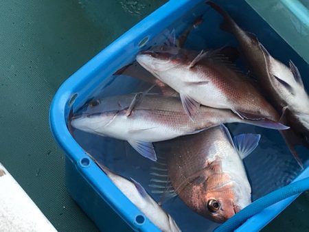 さとみ丸 釣果