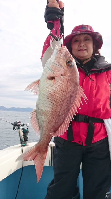 海晴丸 釣果