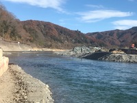 秩父フライフィールド 釣果