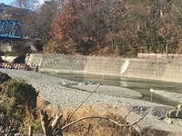 秩父フライフィールド 釣果