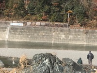 秩父フライフィールド 釣果