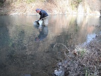 秩父フライフィールド 釣果