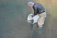 秩父フライフィールド 釣果