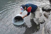 秩父フライフィールド 釣果