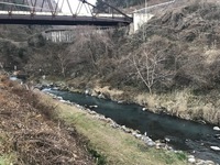 秩父フライフィールド 釣果