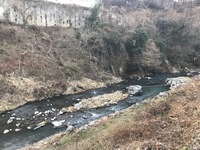 秩父フライフィールド 釣果