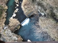 秩父フライフィールド 釣果