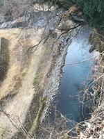 秩父フライフィールド 釣果