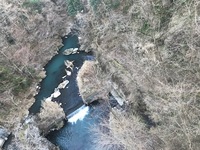 秩父フライフィールド 釣果