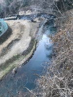 秩父フライフィールド 釣果