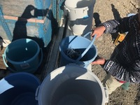 秩父フライフィールド 釣果