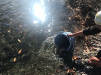 秩父フライフィールド 釣果