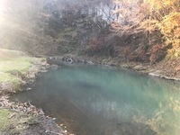 秩父フライフィールド 釣果