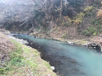 秩父フライフィールド 釣果