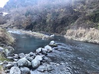 秩父フライフィールド 釣果