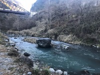 秩父フライフィールド 釣果