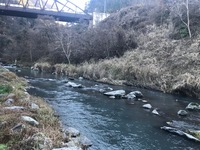 秩父フライフィールド 釣果