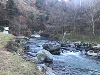 秩父フライフィールド 釣果