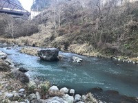 秩父フライフィールド 釣果