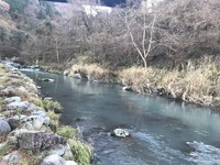 秩父フライフィールド 釣果