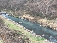 秩父フライフィールド 釣果