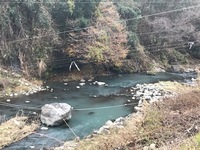 秩父フライフィールド 釣果