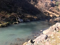 秩父フライフィールド 釣果