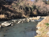 秩父フライフィールド 釣果