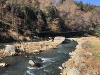 秩父フライフィールド 釣果