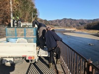 秩父フライフィールド 釣果