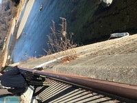 秩父フライフィールド 釣果