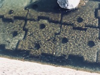 秩父フライフィールド 釣果