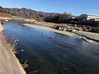 秩父フライフィールド 釣果