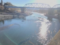 秩父フライフィールド 釣果