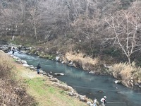 秩父フライフィールド 釣果